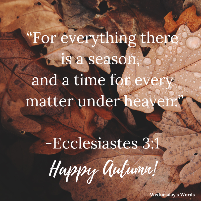 Wednesday’s Words, Ecclesiastes 3:1