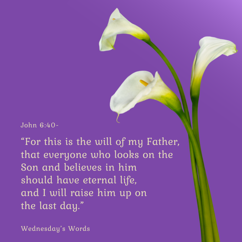Wednesday’s Words, John 6:40