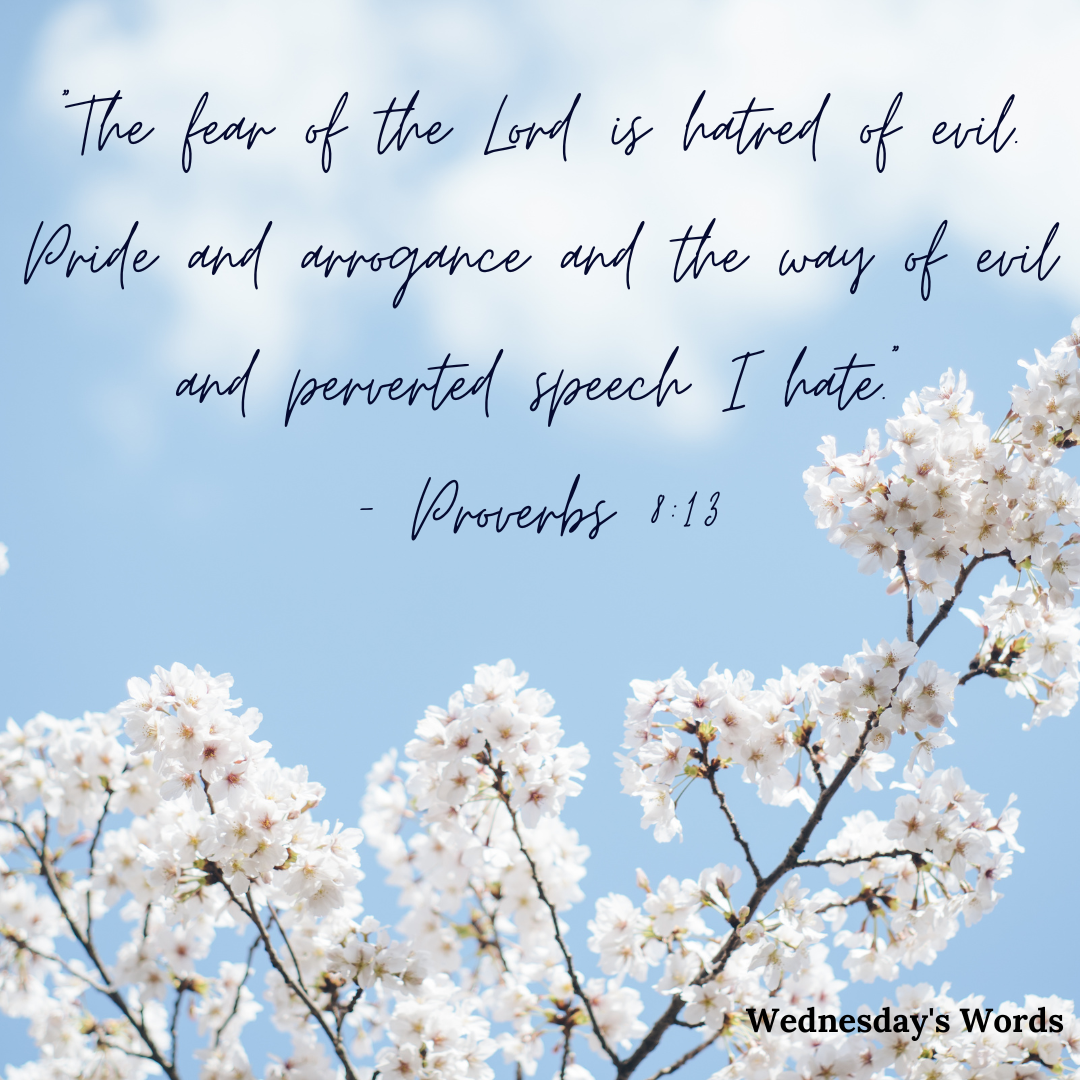 Wednesday’s Words, Proverbs 8:13