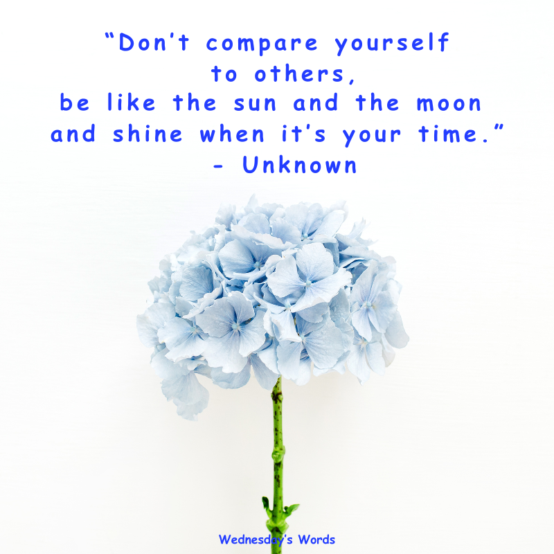 Wednesday’s Words, A Quote