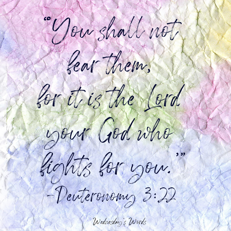 Wednesday’s Words, Deuteronomy 3:22