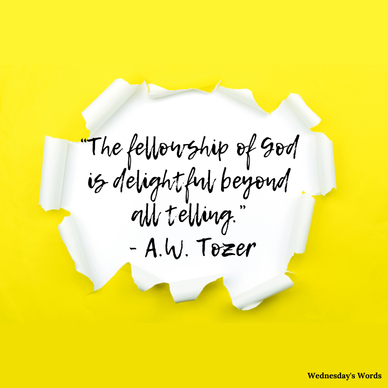 Wednesday’s Words, A Quote