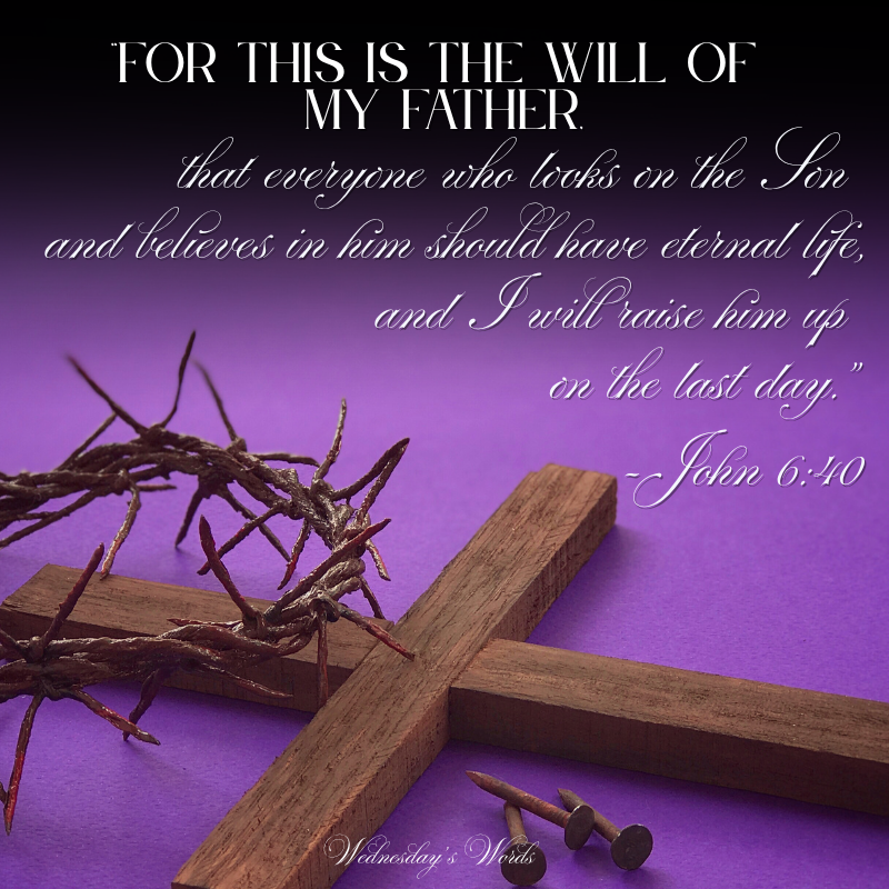 Wednesday’s Words, Holy Saturday, John 6:40