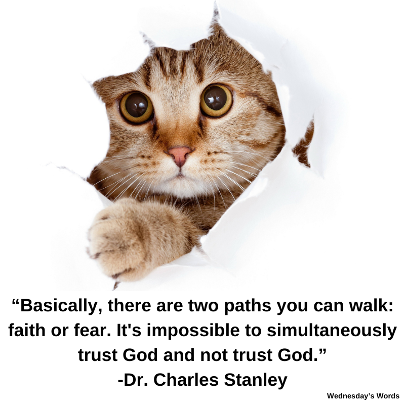 Wednesday’s Words, A Quote